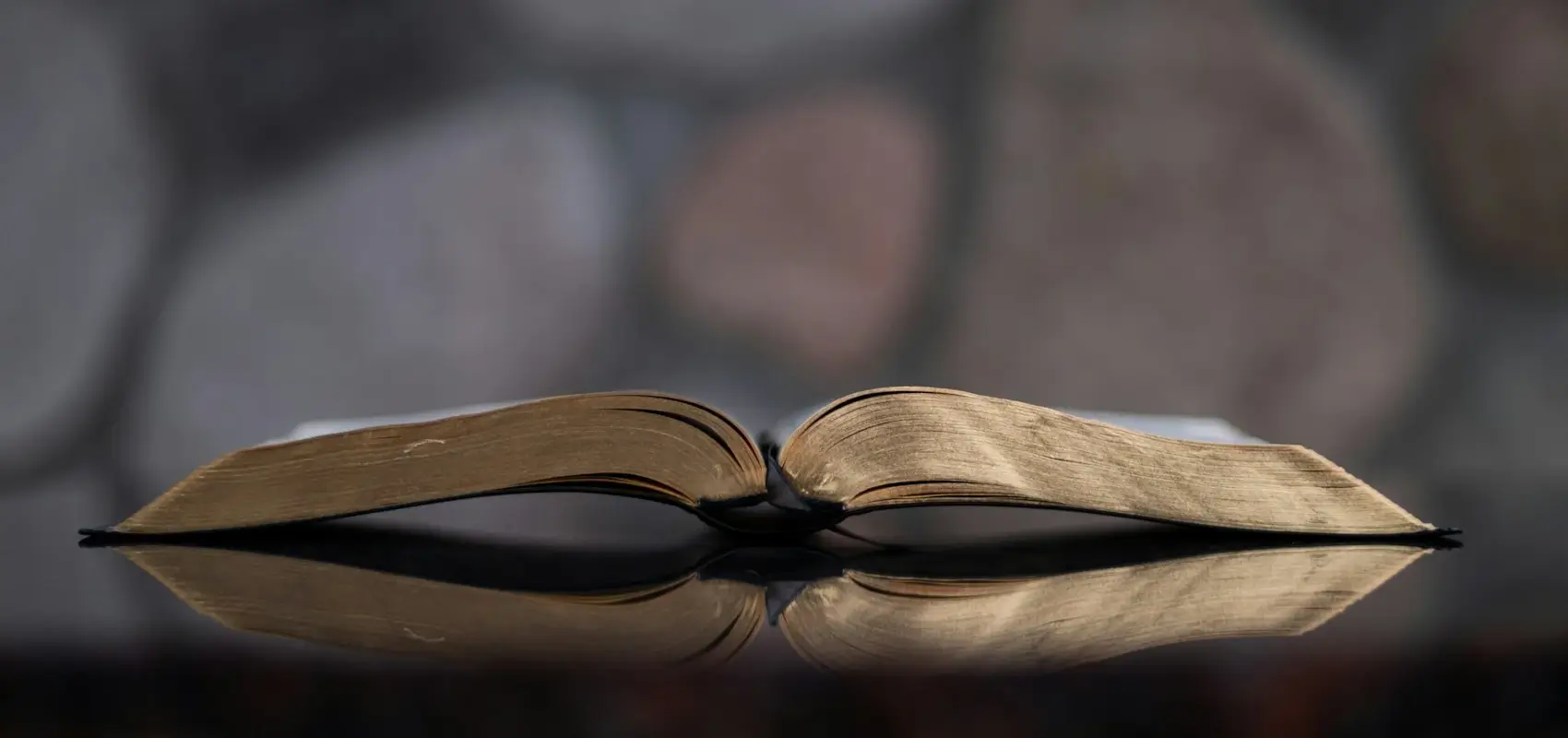 Bible